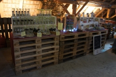 wp-004-Galerie-Mooshof-2016-037